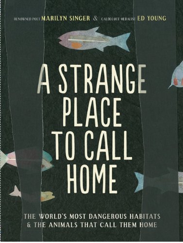 strange-place-to-call-home